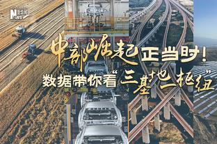 进球示范？加布里埃尔本赛季英超进球数已超过巴西小老弟马丁内利